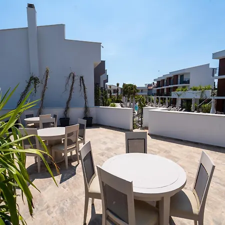 Uliv & Айвалык